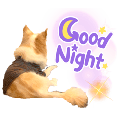 [LINEスタンプ] ワンダフルぶぶ