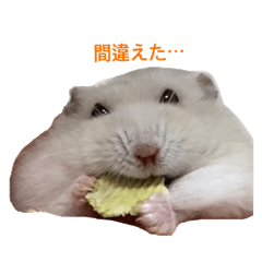 [LINEスタンプ] かわいいハムスター③