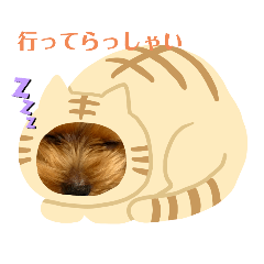 [LINEスタンプ] 旅行にいく人に送るスタンプ！