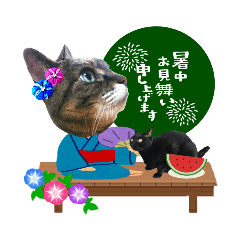 [LINEスタンプ] いぬとも＆ねことも☆うちの⑤にゃんこ⑤