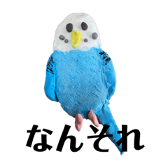 [LINEスタンプ] アルとテンの日常