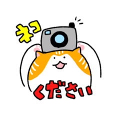 [LINEスタンプ] 頻出にゃんこ