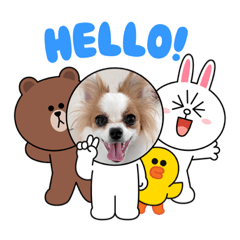 [LINEスタンプ] パピヨンのぴのちゃんのスタンプ6♡
