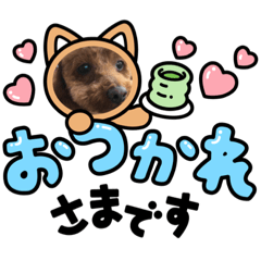 [LINEスタンプ] カワイイ、ワンチャンの、スタンプです。