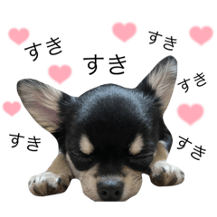 [LINEスタンプ] boa♡coco♡mof