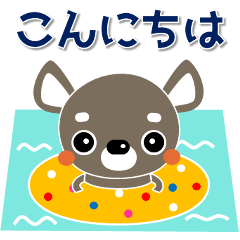 [LINEスタンプ] 犬好きなあなたへ ちわわ 夏 暑中見舞い 1