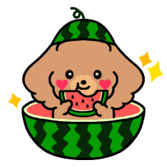 [LINEスタンプ] ふわもこプードル♡夏