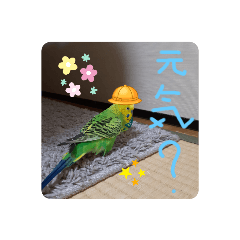 [LINEスタンプ] マナコロ