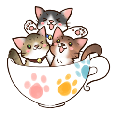 [LINEスタンプ] カップねこ3兄弟