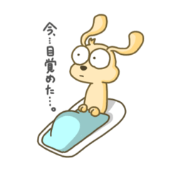 [LINEスタンプ] きょむ犬