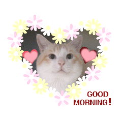 [LINEスタンプ] とりあえず、そうちゃん