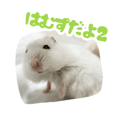 [LINEスタンプ] はむずだよ2