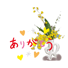 [LINEスタンプ] セシボン花の言葉①