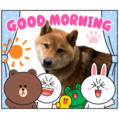 [LINEスタンプ] かわいいペット達！！
