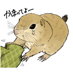 [LINEスタンプ] みんなのリチャードソンジリス