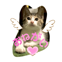 [LINEスタンプ] ももとはちみつ ふたりはなかよし