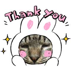 [LINEスタンプ] とらおのスタンプ笑笑