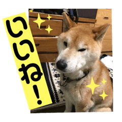 [LINEスタンプ] 梅吉くん 弍の巻