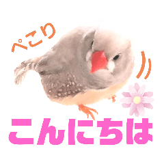 [LINEスタンプ] キンカーズの日常Part1