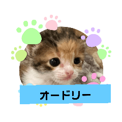 [LINEスタンプ] オードリースタンプ
