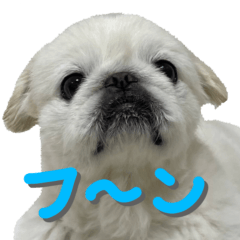 [LINEスタンプ] とらくん・スタンプ その3