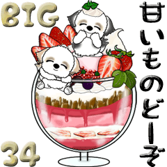 [LINEスタンプ] 【Big】シーズー犬34『sweets どーぞ』の画像（メイン）