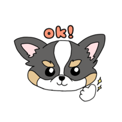 [LINEスタンプ] チワワ。ブラックタン＆ホワイト