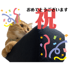 [LINEスタンプ] ひい_stamp