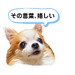 [LINEスタンプ] セシボン使えるLINEスタンプ①