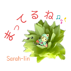 [LINEスタンプ] 花の妖精サラリン(改訂版)