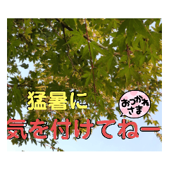 [LINEスタンプ] 猛暑に