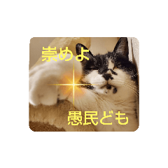 [LINEスタンプ] 姫 まかり通る