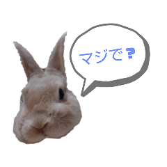 [LINEスタンプ] うさぎのゲンとラン2