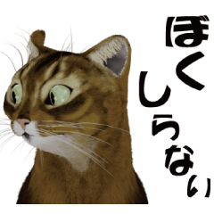 [LINEスタンプ] 図星・おとぼけスタンプ 猫のメル