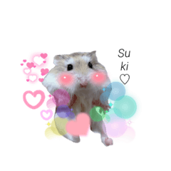 [LINEスタンプ] はむちゃんズ。