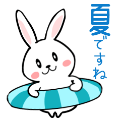 [LINEスタンプ] うさぎサマー 毎日スタンプ