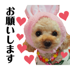 [LINEスタンプ] モコちゃんと可愛いお友達(犬・猫)