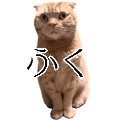 [LINEスタンプ] ふく ＊asachi