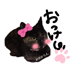 [LINEスタンプ] 虎柄猫1