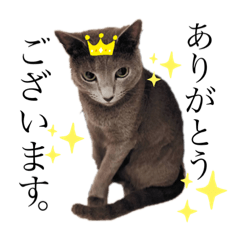 [LINEスタンプ] 癒しのめいスタンプpart3