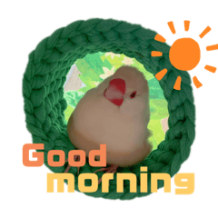 [LINEスタンプ] 文鳥の仲間たち