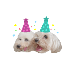 [LINEスタンプ] 珊瑚とブラン