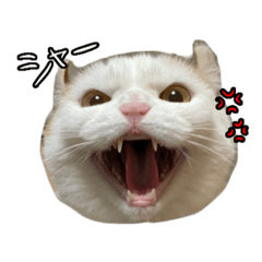 [LINEスタンプ] おちゃましうしはうす