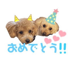 [LINEスタンプ] きなちゃんもなちゃん