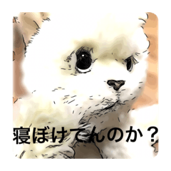 [LINEスタンプ] ツンツンニャンちゃん