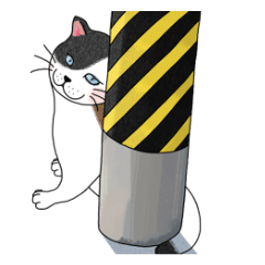 [LINEスタンプ] ねこさんの観察日記