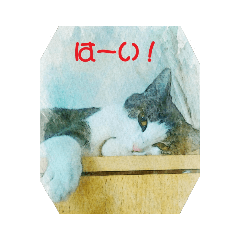 [LINEスタンプ] チーちゃん(水彩画風)