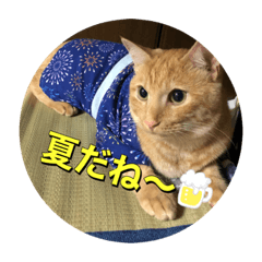 [LINEスタンプ] むぎむーの日常❹