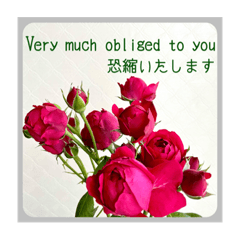 [LINEスタンプ] 山、海、空、薔薇と英語と日本語