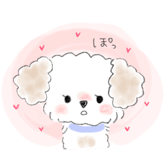 [LINEスタンプ] マルプーこたろう